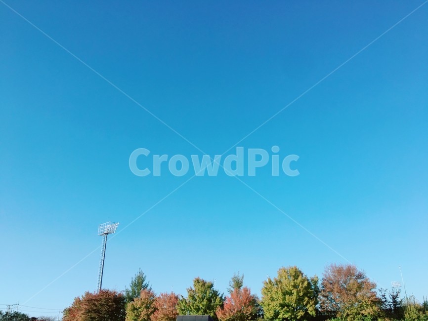 하늘,알록달록,sky,colorful,나무,tree,가을,autumn