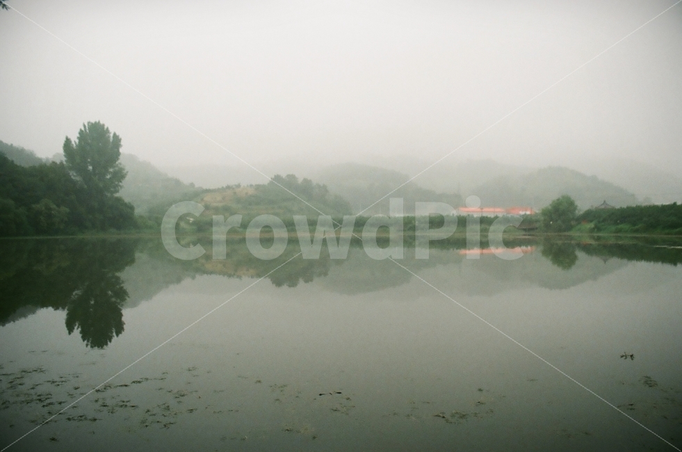 반곡지,안개,물안개,느낌,필름사진,자연,풍경,nature,landscape,감성,sensible,feeling,water,물,outdoors,옥외