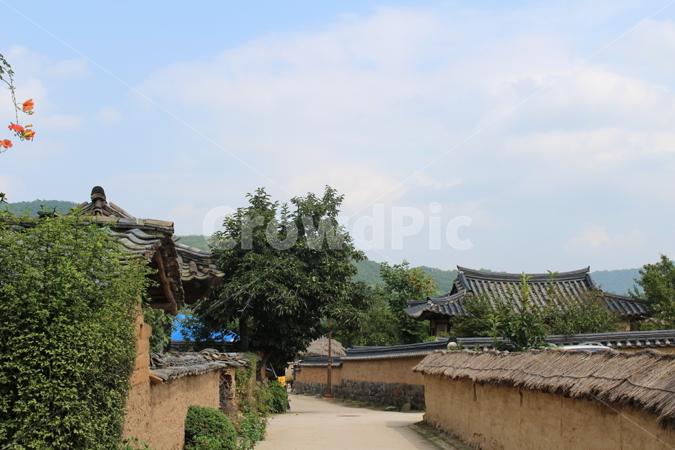 안동하회마을,기와집,풍경,옥외,outdoors,전통,한국,architecture