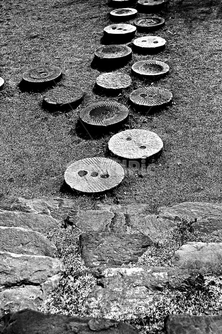 돌길,길,식물,자연,배경,풍경,자연,풍경,nature,landscape,흑백,모노톤,monochrome,black and white,ground,바닥