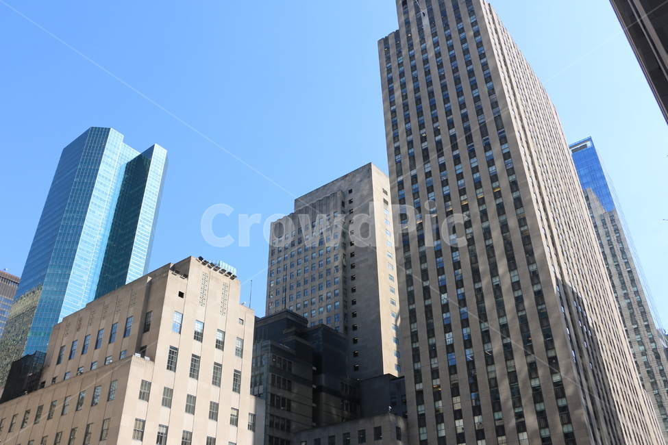 뉴욕,newyork,미국,건축,건물,뉴욕5번가,뉴욕거리,하늘,나무,도시,풍경,city,landscape,해외,외국,세계,foreign,oversea,world,세계도시풍경,해외도시풍경,외국도시풍경,world cityscape,building,office building,사무실 건물,town,시티,high rise,고층 건물,urban,어반