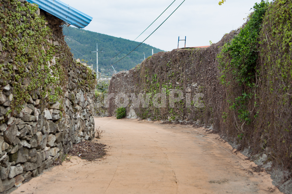 건물,풍경,백그라운드,청산도,슬로시티,남해,돌담길,돌담마을,농촌,어촌,농어촌,섬마을,시골,시골마을,마을,동네,전봇대,전신주,전선,전기줄,돌담장,담벼락,섬,담장,담,돌담,시골,마을,풍경,landscape,country,rural,town,골목길,alley,road,도로,flagstone,판석