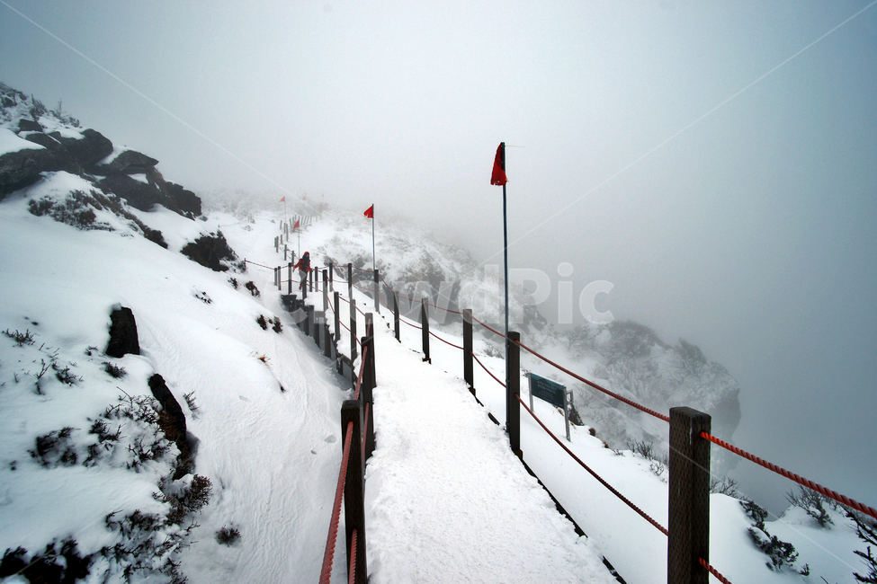한라산,설경,제주도,영실코스,눈,겨울,설화,안개,탐방로,깃발,겨울,계절,winter,season