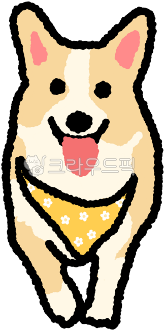 웰시코기,반려견,반려동물,개,강아지