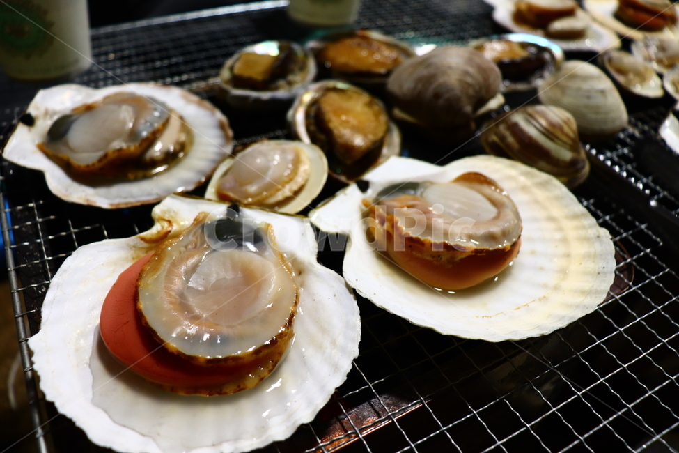 음식,조개,가리비,석쇠,food,sealife,음식,식재료,요리,food,cook,meal,dishes,food reserves