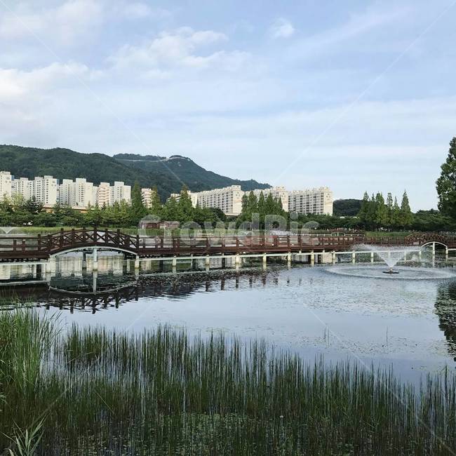 공원,호수,분수,식물,하늘,풍경,parrk,fountain,sky,lake,korea
