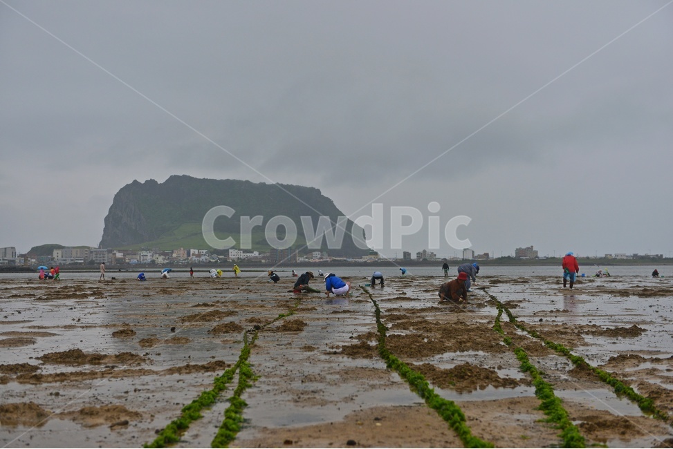 outdoors,옥외,nature,자연,person,사람,human,인간,water,물,ocean,대양,sea,바다,제주도,성산일출봉,해변,해안