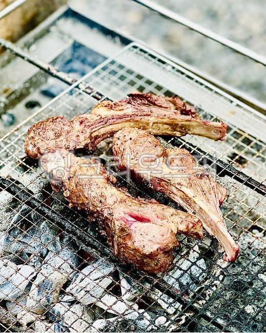 고기,meat,양고기,mutton,양갈비