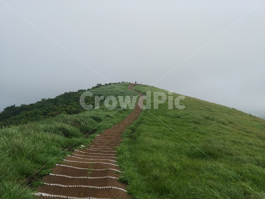 제주도,새별오름,자연,nature,목초지,field,들,outdoors,옥외,grassland