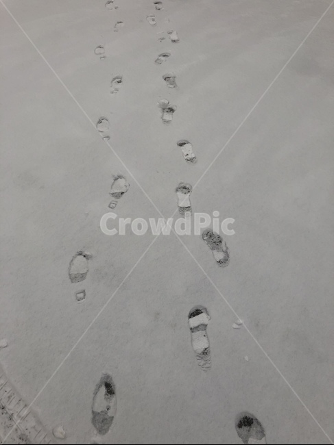 발자국,눈,하얀색,겨울,풍경,겨울,계절,winter,season