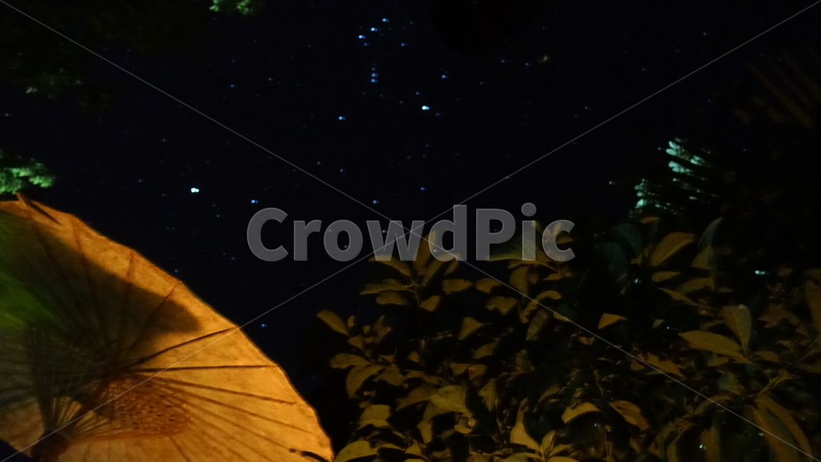 outdoor,야외,별,우산,밤