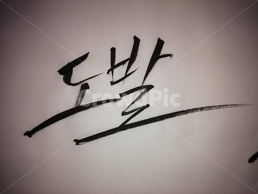 text,본문,캘리그라피,도발,글씨,캘리,폰트