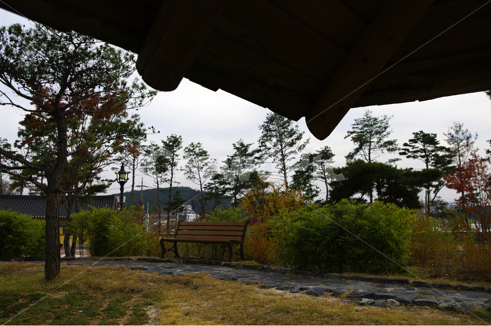 오죽헌,의자,처마,공원,나무,관광지,자연,풍경,nature,landscape,bench,벤치