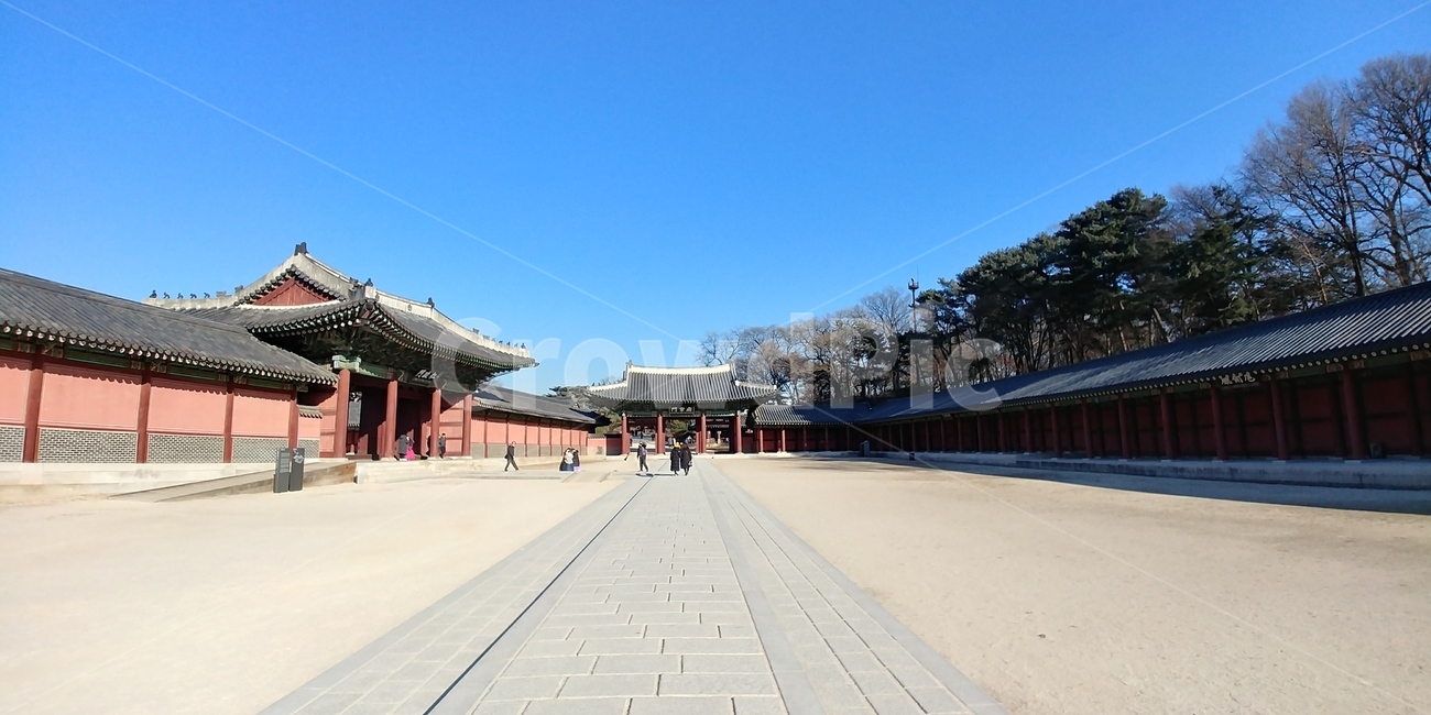 창덕궁,문화재,전통건축,고궁,기와,한국,조선,보물,문화유산,궁,왕,궁궐,한국전통,한국문화,korean traditional,korean culture,랜드마크,landmark,tourist attraction,한국랜드마크,한국관광지,한국명소,korea landmark,korea tourist attraction