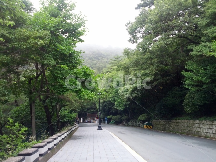 부산,태종대,여름,풍경,Busan,여름,계절,summer,season,자연,풍경,nature,landscape,outdoors,옥외,garden,정원,arbour,정자