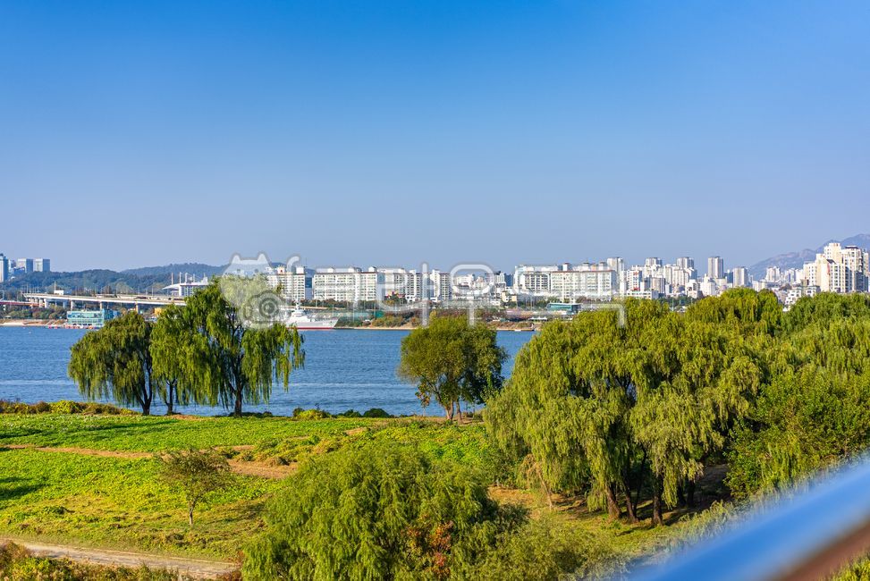 한강공원,선유도공원,공원,휴식,park,산책로,산책길,산책,숲속,산속,조깅,숲속길,길,나무,빌딩숲,선유교