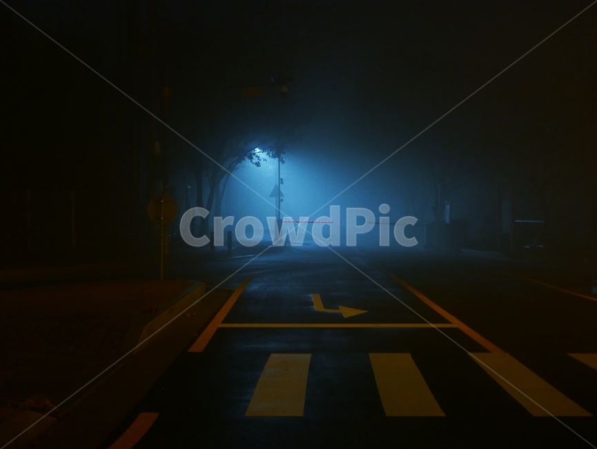 가로등,불빛,안개,밤안개,도로,야경,밤,풍경,nightscape,night,landscape
