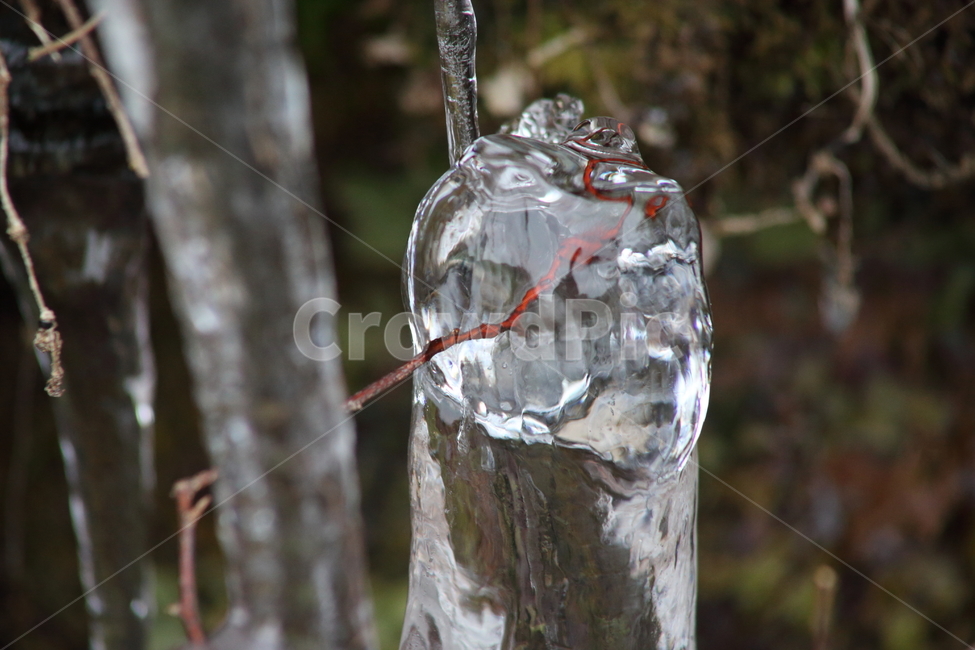 ice,nature,winter,겨울,고드름