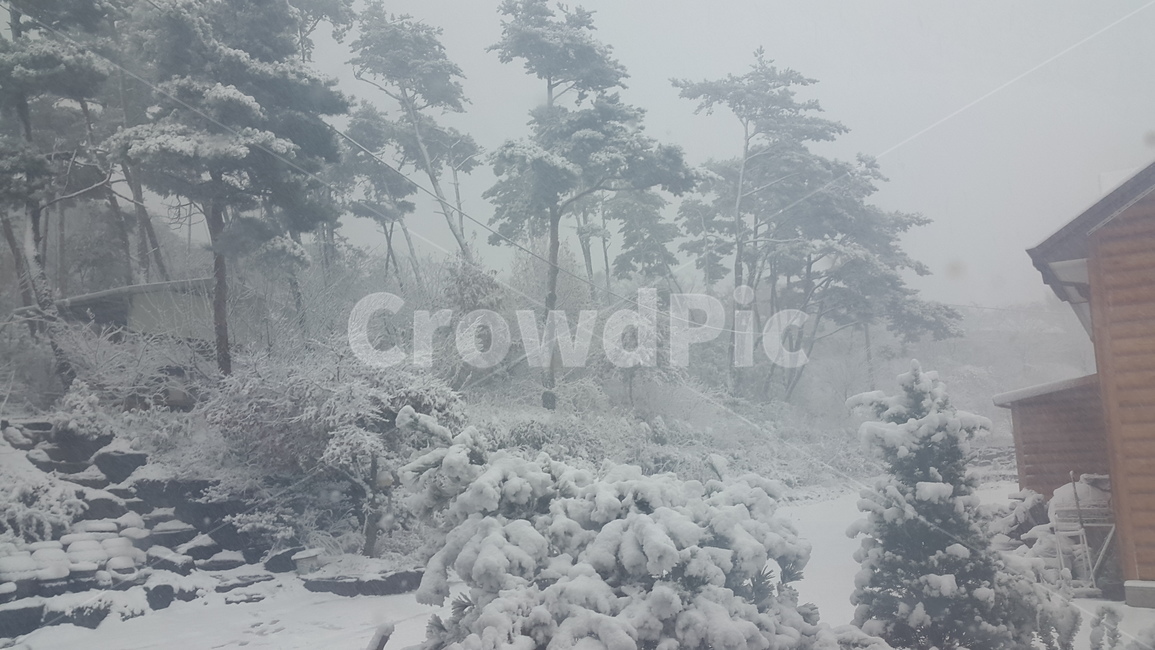 눈,눈오는날,겨울,폭설,많은눈,겨울,계절,winter,season