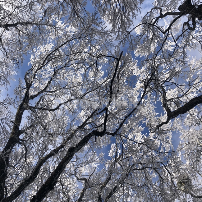 설경,눈꽃,자연,nature,파란하늘,트레킹,trecking,겨울,winter,겨울산,상고대