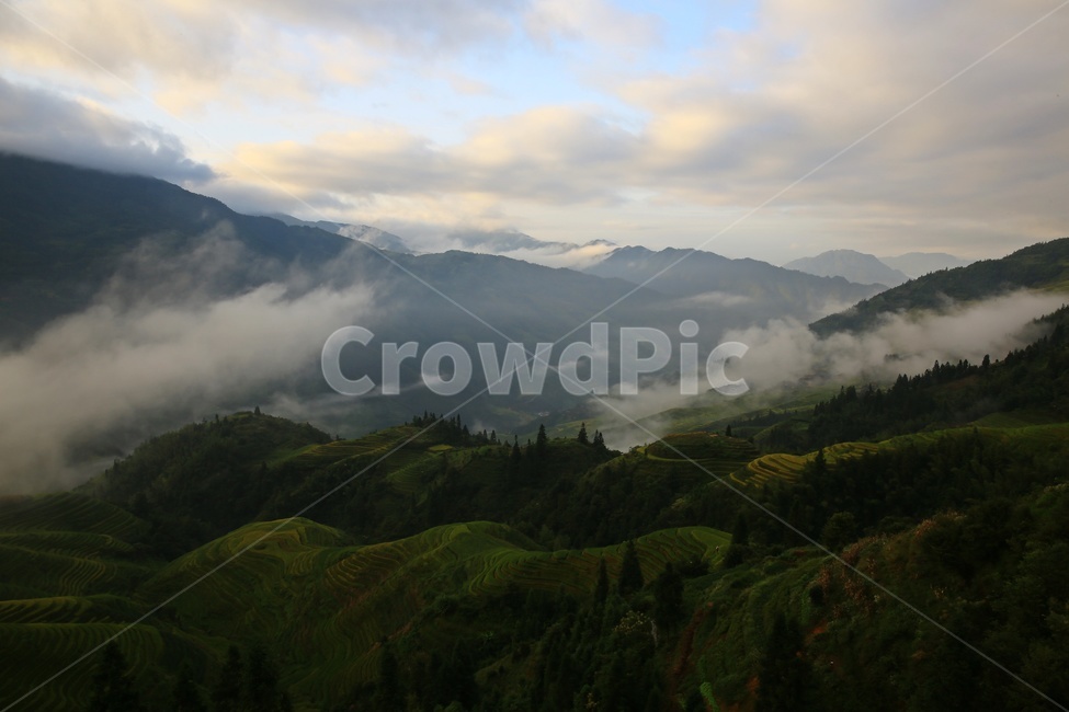 nature,자연,outdoors,옥외,countryside,field,들,hill,언덕,중국,계림,용척,용척다랭이논,다랭이논,다락논,농업,농경지,경작,농사,중국비경,경치,경관,풍경,운해,용척제전아침