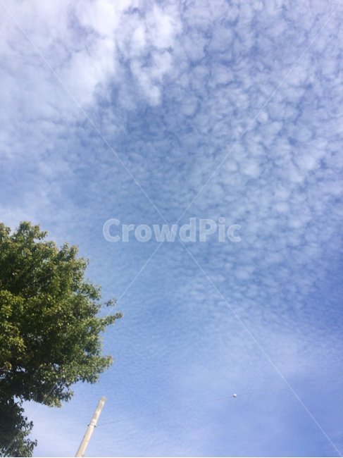 하늘,풍경,구름,sky,cloud,배경,자연,풍경,nature,landscape,tree,나무,plant,식물
