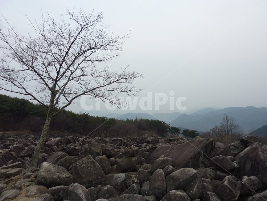 자연,풍경,만어사,구름,돌,바위,삼랑진,나무