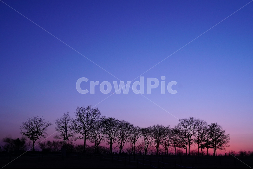 일몰,하늘,노을,석양,아프리카,자연,풍경,nature,landscape,outdoors,옥외,silhouette,실루엣