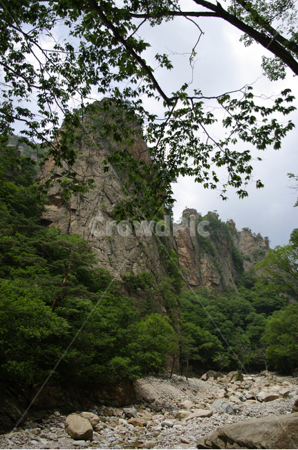 산,계곡,바위,풍경,나무,설악산,자연,풍경,nature,landscape,cliff,낭떠러지,outdoors,옥외