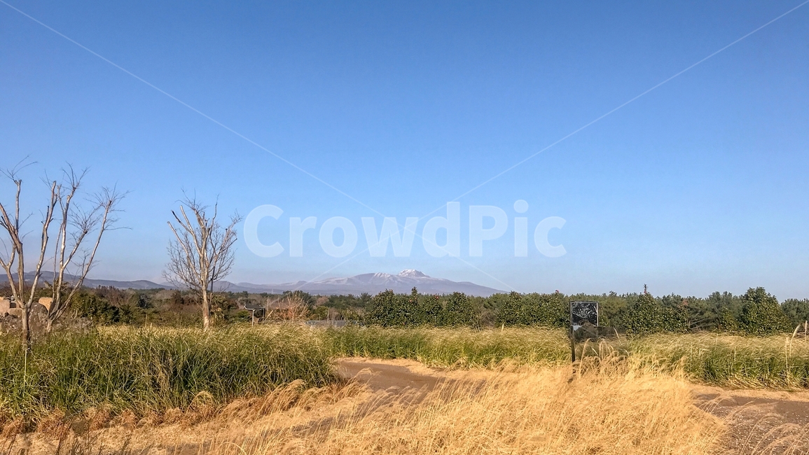 제주도,한라산,눈,하늘,흰산,자연,풍경,nature,landscape,outdoors,옥외,field,들,grassland,목초지,ground,바닥