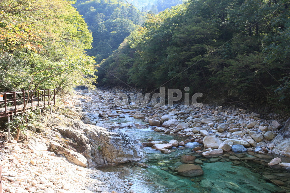 설악산,국립공원,계곡,수렴동계곡,자연,풍경,자연,풍경,nature,landscape,한국자연풍경,한국자연경관,korea nature landscape,water,물,outdoors,옥외,stream,흐름,creek,작은 만