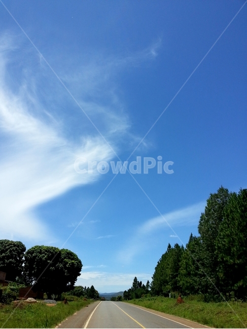 자연,하늘,나무,시골길,아프리카,풍경,africa,uganda,파란하늘,sky,tree,nature,구름,자연,풍경,nature,landscape,해외,외국,세계,foreign,oversea,world,세계자연풍경,해외자연풍경,외국자연풍경,world nature landscape,outdoors,옥외,plant,식물
