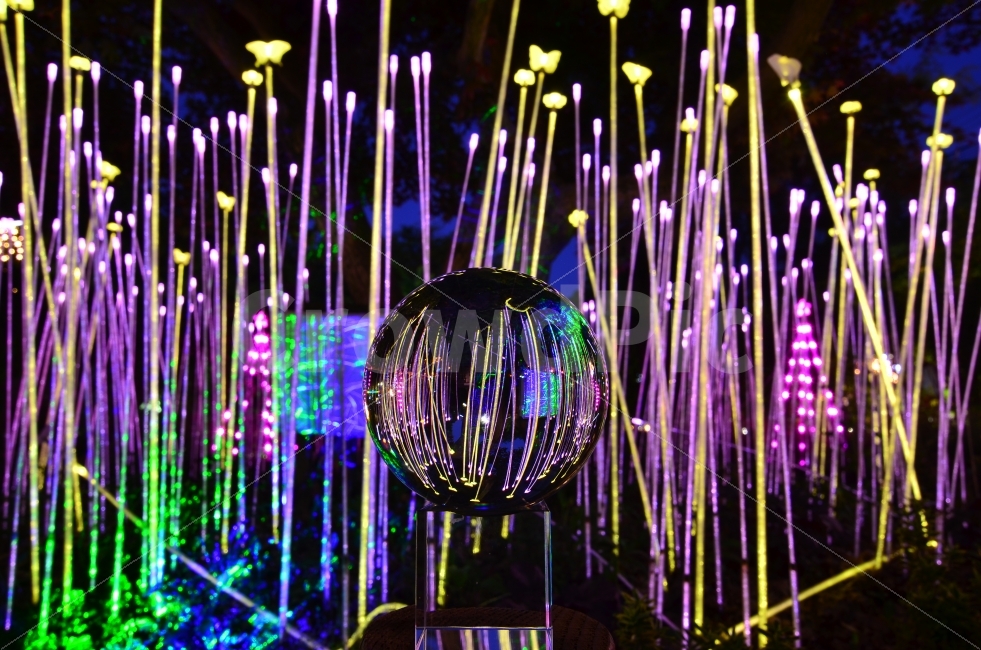 빛의향연,구슬샷,LED불빛,크리스탈볼,야경사진,특이한야경,사물,물건,오브젝트,thing,object,matter,야경,밤,풍경,nightscape,night,landscape,light,빛,lighting,조명