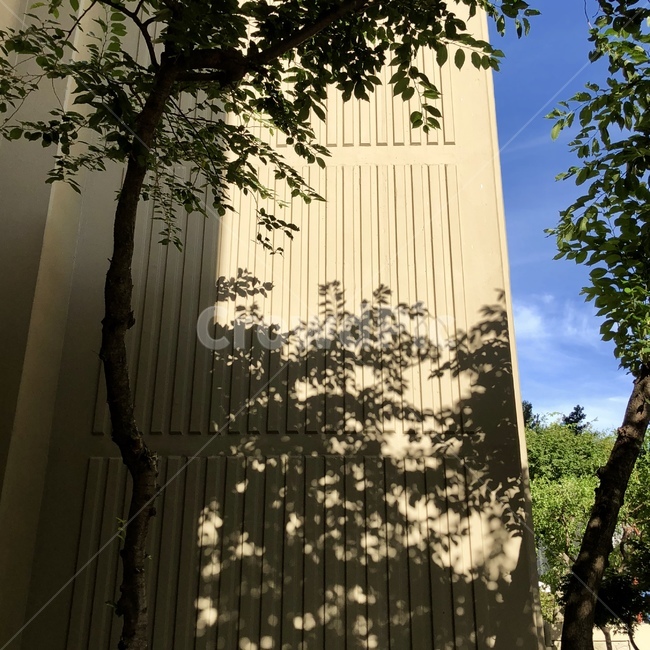 여름,그림자,나무,감성,햇빛,건축물,건물외관,exterior,building,structure,architecture,construction