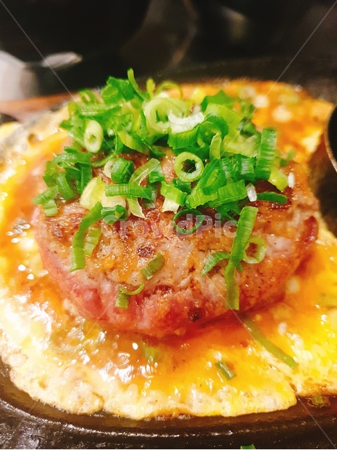 함박스테이크,고기,계란,파,일본,음식,식재료,요리,food,cook,meal,dishes,food reserves