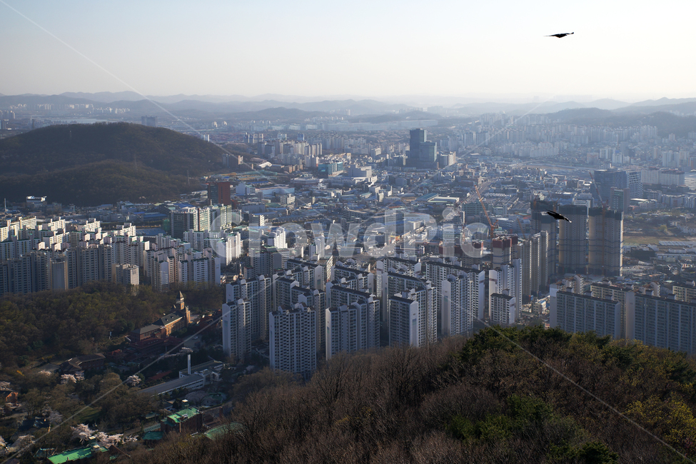 모락산,의왕시,경기도,안양시,도심풍경,건물,군포시