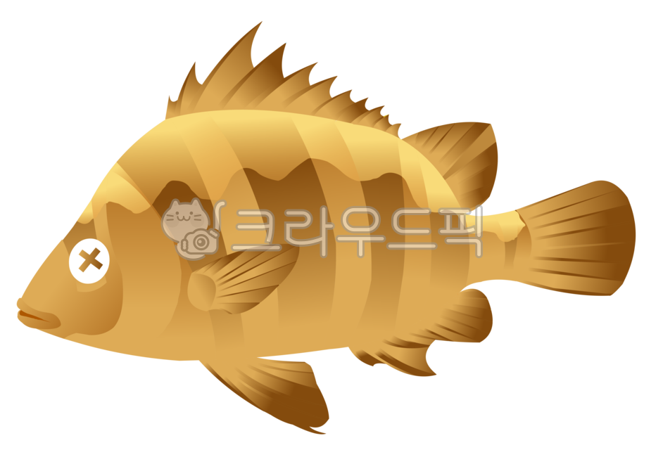 Parrotfish,fish,meat,Grilled stone sea bream,Grilled Fish,roast,marine life