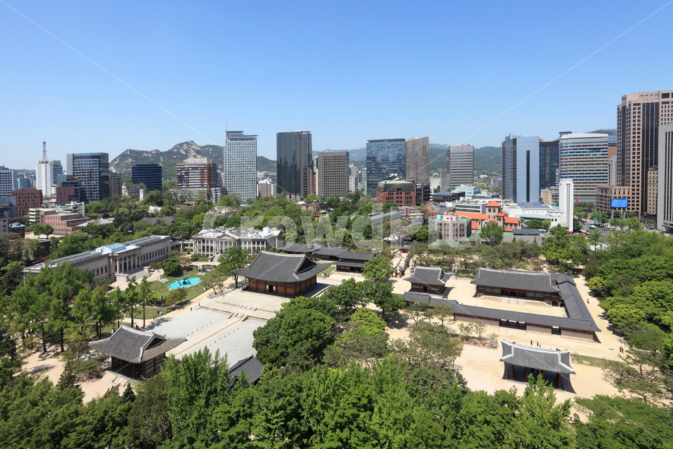 덕수궁,고궁,궁,궁궐,도시,도심,서울,한국,빌딩,고층빌딩,스카이라인,하늘,배경,백그라운드,풍경,도시풍경,건축,건축물,전통,한국전통,전통건축,전통건축물,명소,하이앵글,탑앵글,나무,숲,녹지,공원,기와,기와집,중화문,중화전,현대,현대건축,한국전통,한국문화,korean traditional,korean culture,랜드마크,landmark,tourist attraction,한국랜드마크,한국관광지,한국명소,korea landmark,korea tourist attraction,건축물,건물외관,exterior,building,structure,architecture,construction