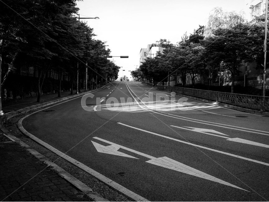 아침풍경,아침도로,흑백,이른아침,아파트입구,동네사진,흑백,모노톤,monochrome,black and white,교통,교통수단,traffic,transportation,asphalt,아스팔트,road,도로