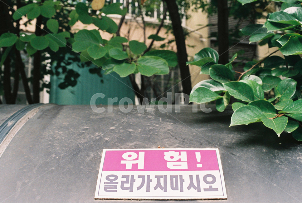 위험,올라가지마시오,경고,danger,나뭇잎,나무