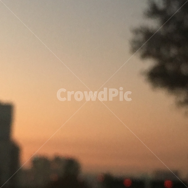 나무,노을,건물,하늘,오후,afternoon,tree,sunset,building,cloudypicture,sky,흐린하늘