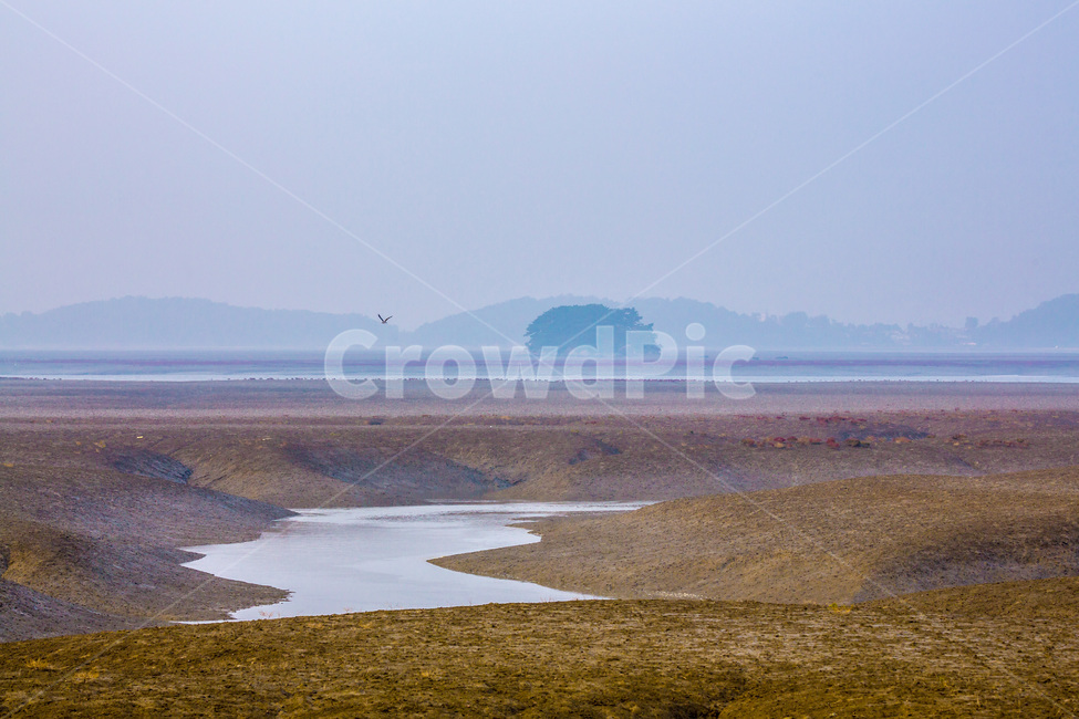 영종도,환경,갯벌,개발,함초,무늬,자연,풍경,nature,landscape,한국자연풍경,한국자연경관,korea nature landscape,outdoors,옥외,land,땅,road,도로,gravel,자갈,dirt road,흙길