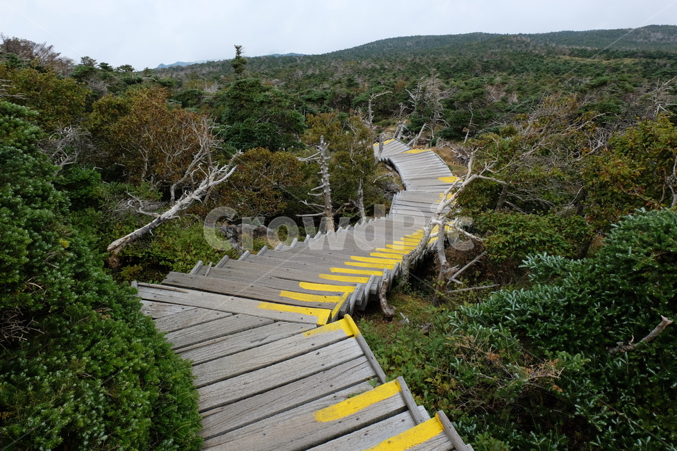 제주도,한라산,산,내려가는길,등산,하산,길,계단,제주,jeju,자연,풍경,nature,landscape,한국자연풍경,한국자연경관,korea nature landscape,제주도,jeju,jeju island,boardwalk,산책로,bridge,다리,building,건물