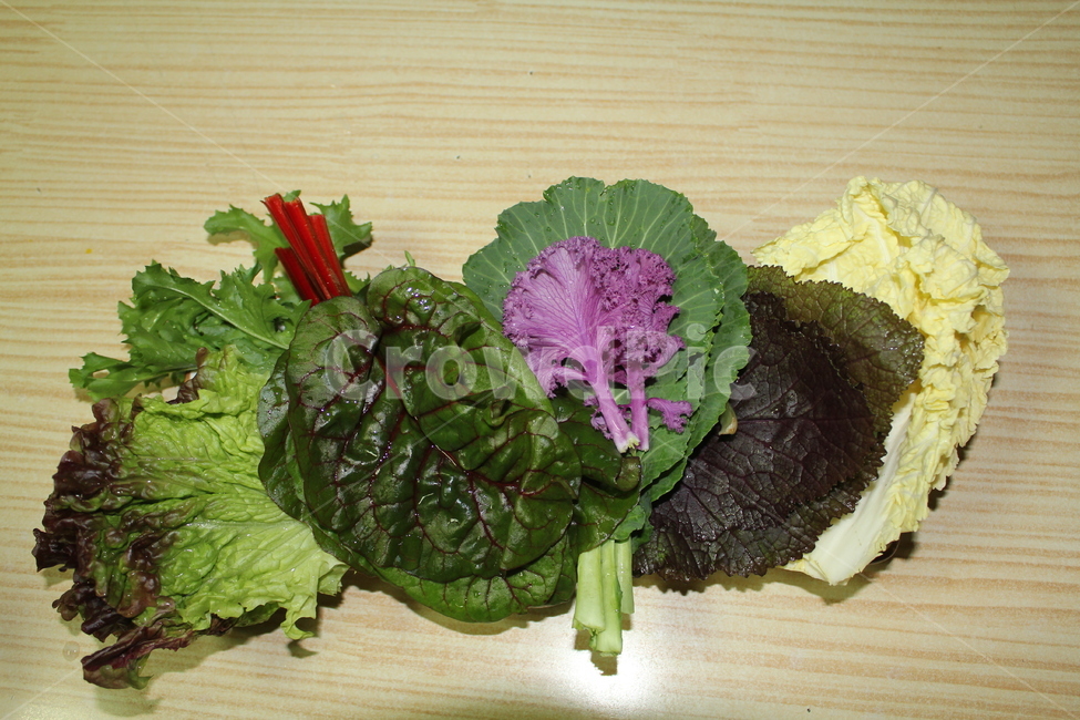 야채,채소,쌈,음식,식사,상추,쌈채소,음식,식재료,요리,food,cook,meal,dishes,food reserves,채소,야채,vegetables