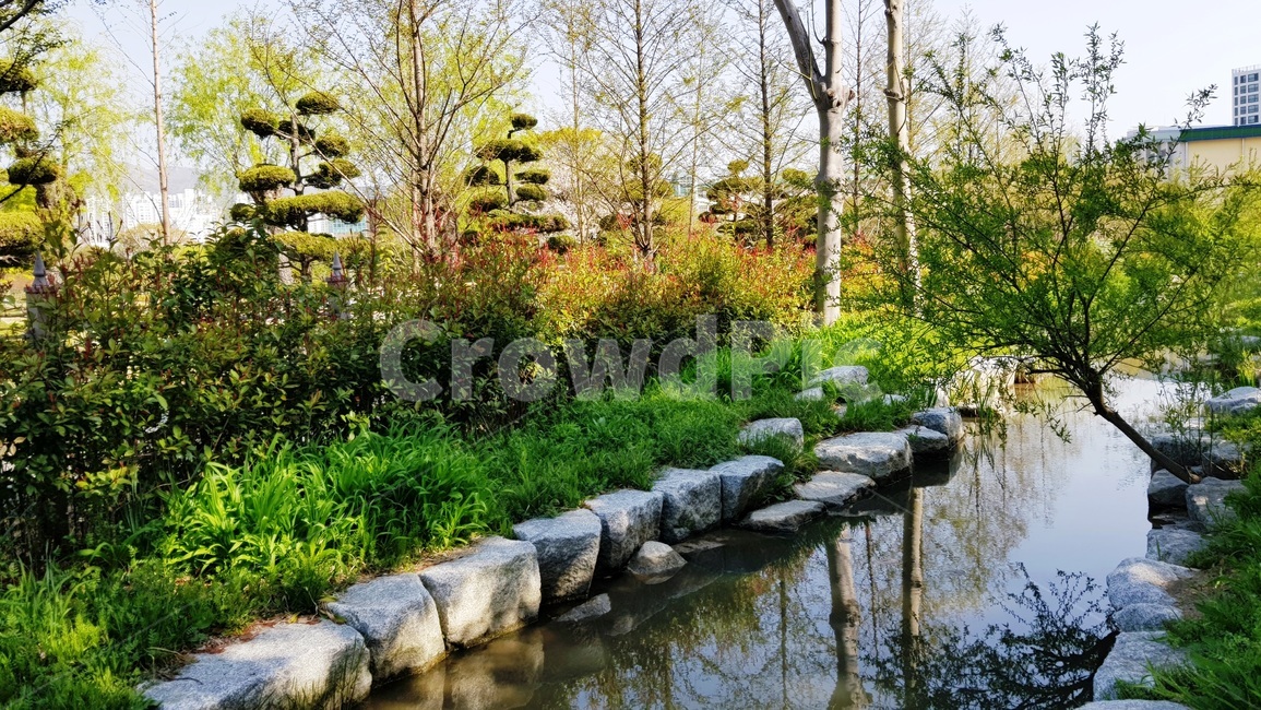 연못,정원,호수,풍경,자연,자연,풍경,nature,landscape,water,물,outdoors,옥외,tree,나무,plant,식물