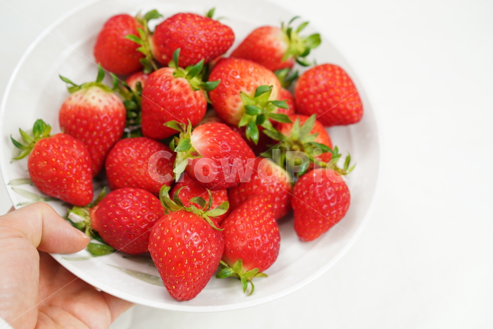딸기,과일,음식,먹거리,후식,비타민,빨강,색감,red,food,strawberry,plant,fruit,음식,식재료,요리,food,cook,meal,dishes,food reserves,과일,열매,fruit