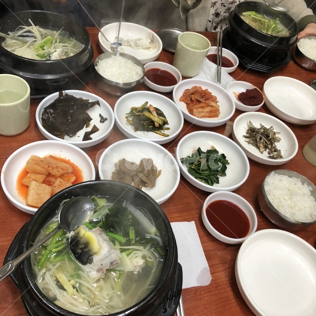 부산복어탕,복어,복어탕,해장,해장국,아침밥,아침메뉴,음식,식재료,요리,food,cook,meal,dishes,food reserves,한식,한국음식,한국요리,korean food,korean dishes,korean meal,korean cook