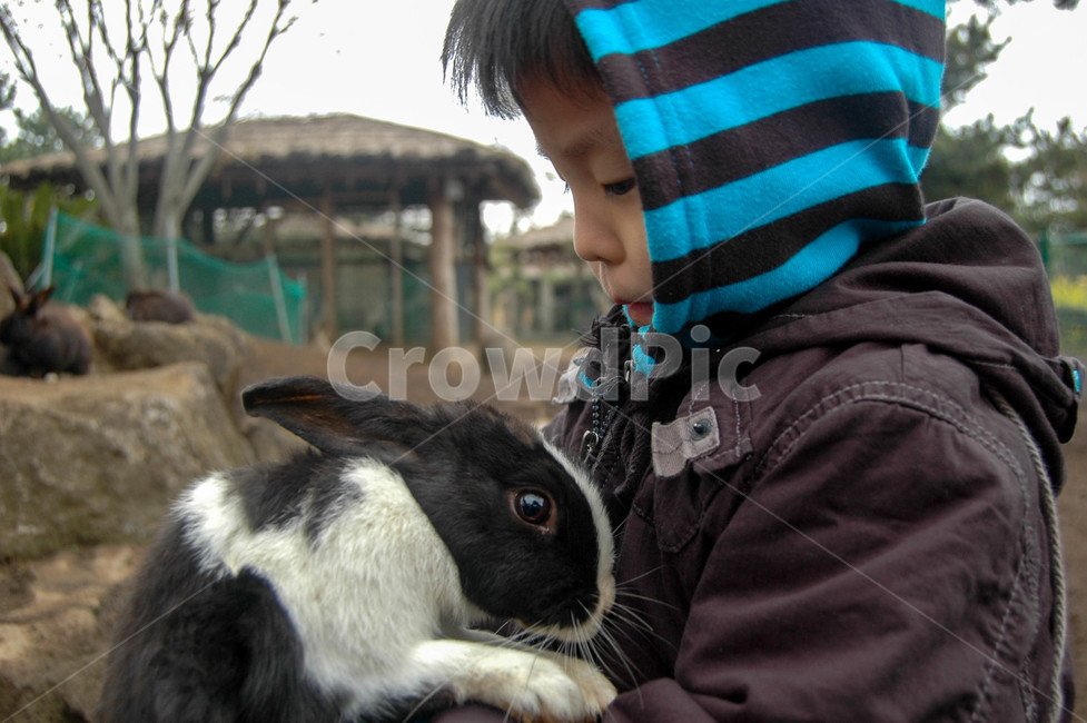 아이,토끼,시선,동물,귀여움,동물,animal,포유류,mammal,사람,인물,인간,human,person,어린이,어린아이,child,children,kid