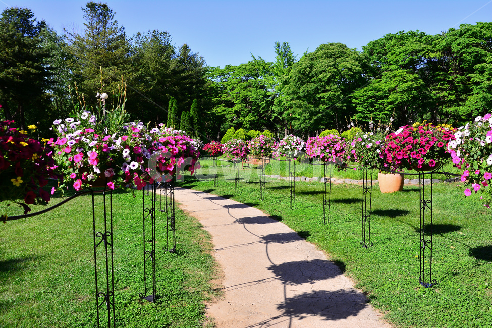 꽃길,꽃,길,봄꽃,잔디밭,flowers,road,garden,park,beautiful,숲길,정원,가든,꽃밭,조경,장식,데코레이션,화단,화분,숲,공원,파크,플라워,아름다운,로드,워킹,산책,휴식,행복,해피,뷰티풀,green,산책로,힐링,healing,자연,풍경,nature,landscape,식물,plants,꽃,flower,plant,outdoors,옥외