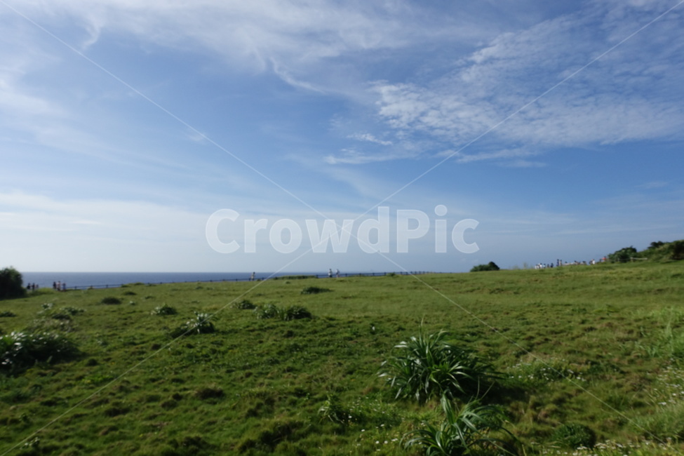 sky,Field,vast,Sky blue,peaceful